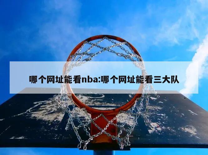 哪个网址能看nba:哪个网址能看三大队